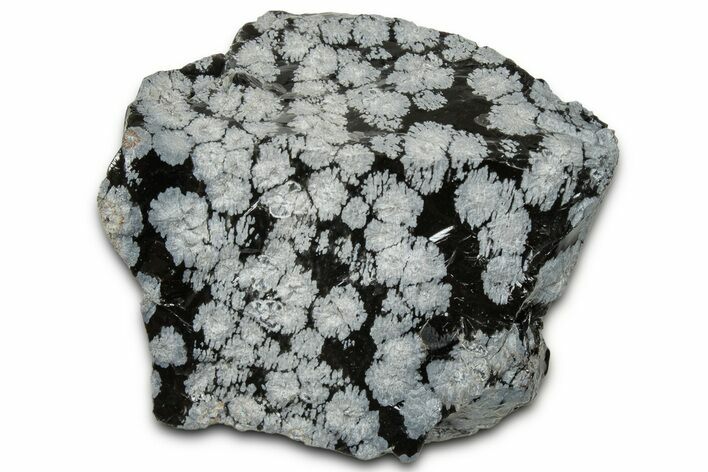 Snowflake Obsidian Section - Utah #327125